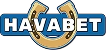 Havabet Logo